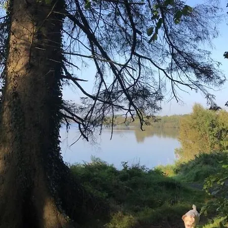 Cracatinni Mews Appartamento Roundwood