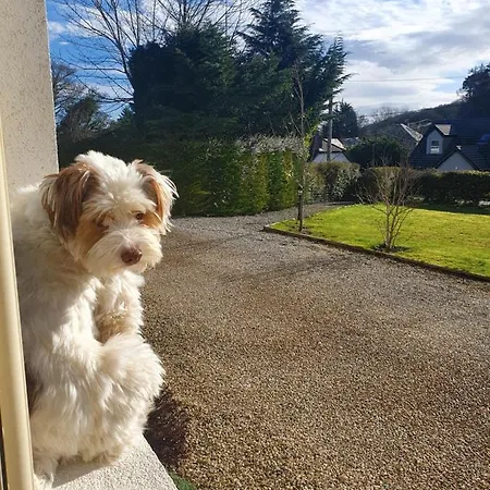 Cracatinni Mews Appartamento