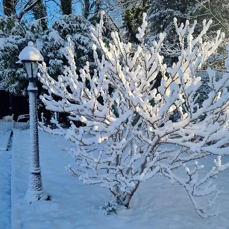 Cracatinni Mews Appartamento Roundwood