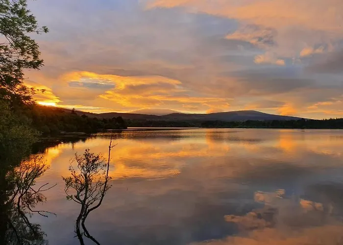 Apartment Cracatinni Mews *