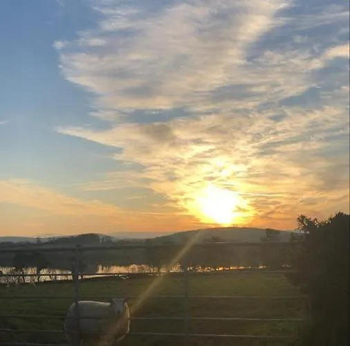 Apartment Cracatinni Mews