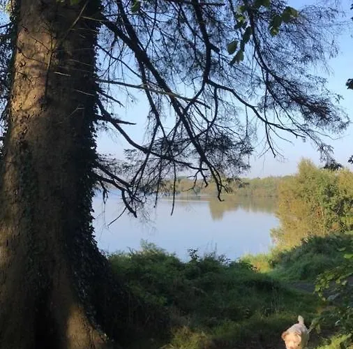 Cracatinni Mews Apartment Roundwood