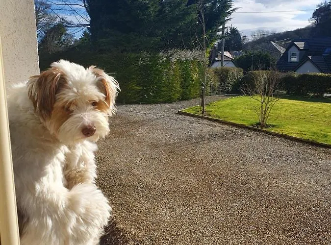 Cracatinni Mews Apartment